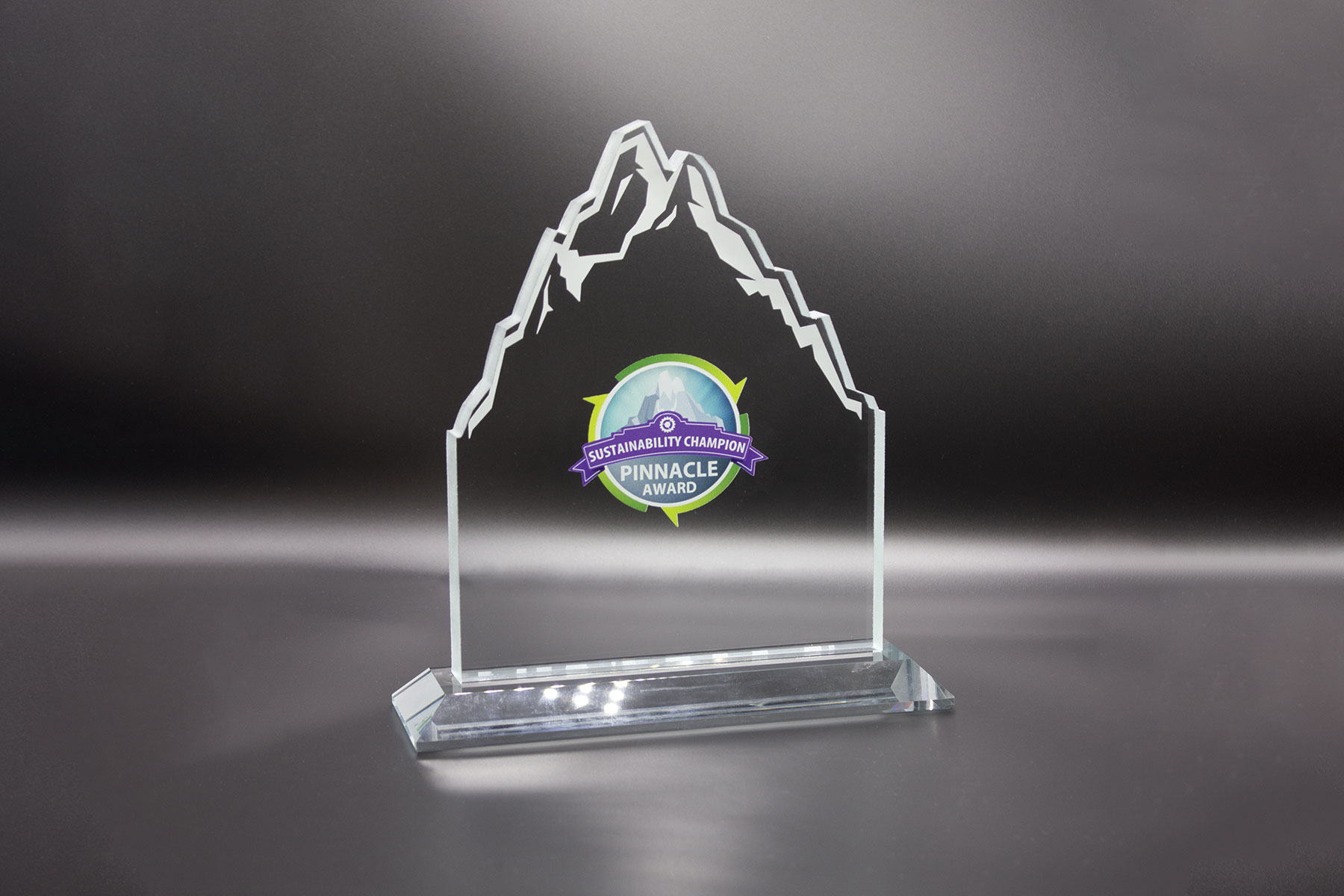 pinnacle award trophy