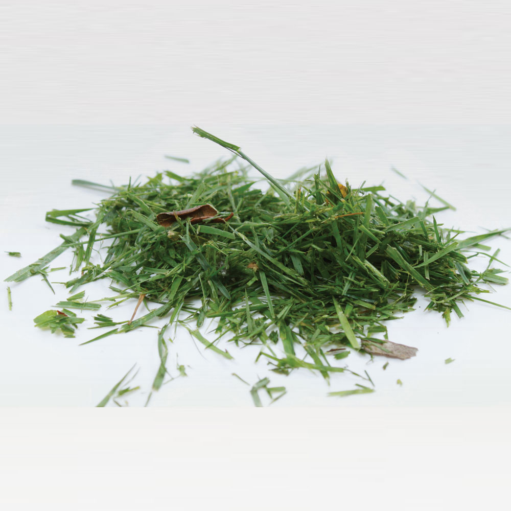 Grass-Clippings.jpg