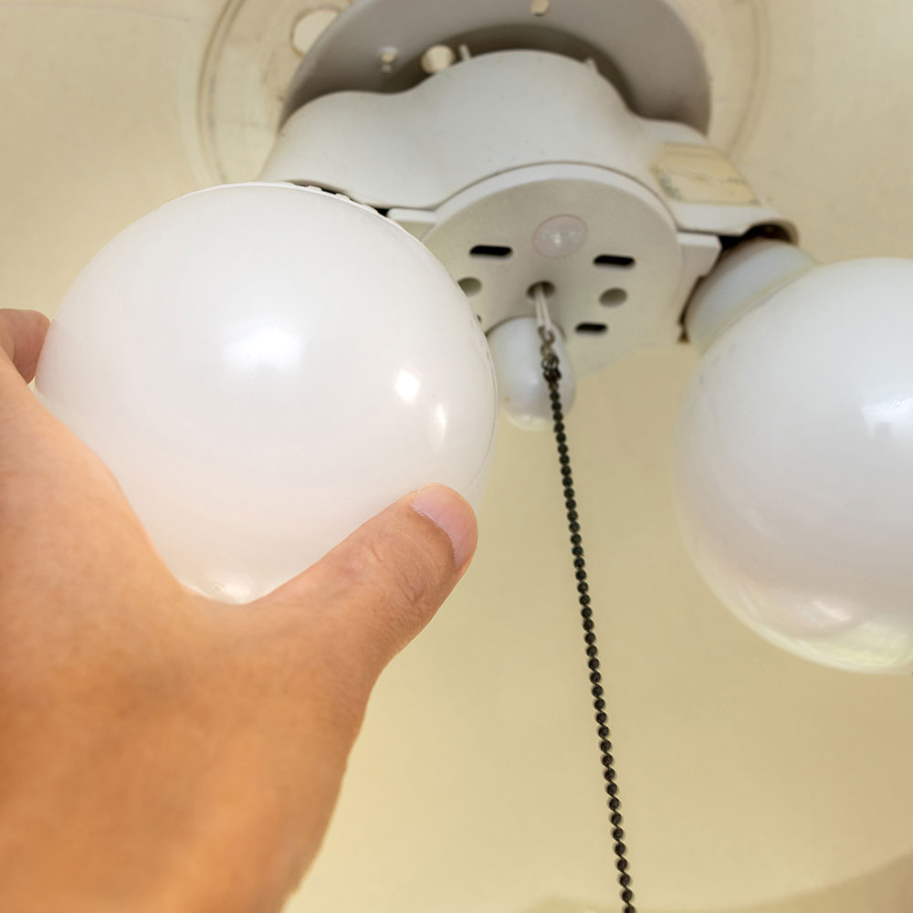 Light-Fixture.jpg