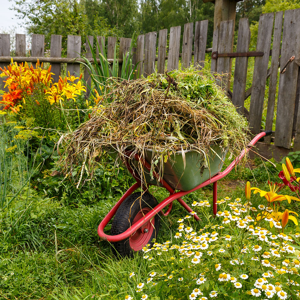 Organic-Garden-Material.jpg