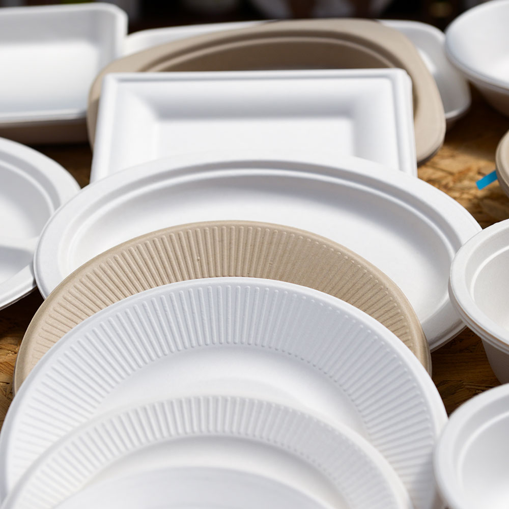 Paper-Plates.jpg