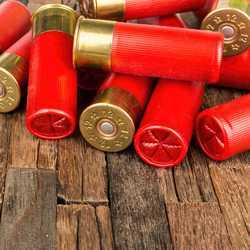 Shotgun-Shells.jpg