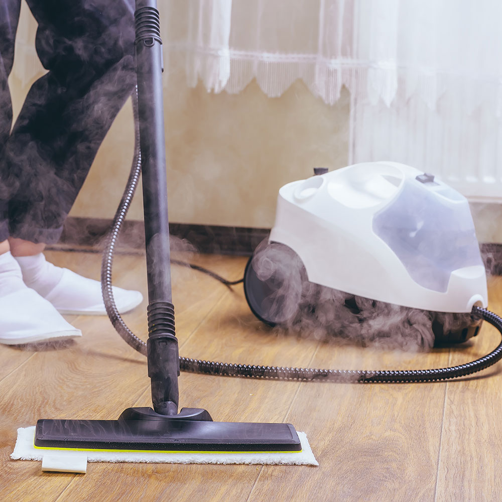 Steam-Cleaner.jpg